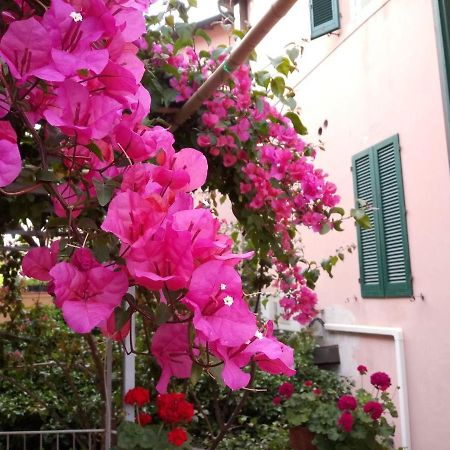 Albergo Italia Piombino Exterior photo